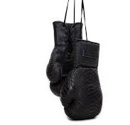 black Boxing Gloves